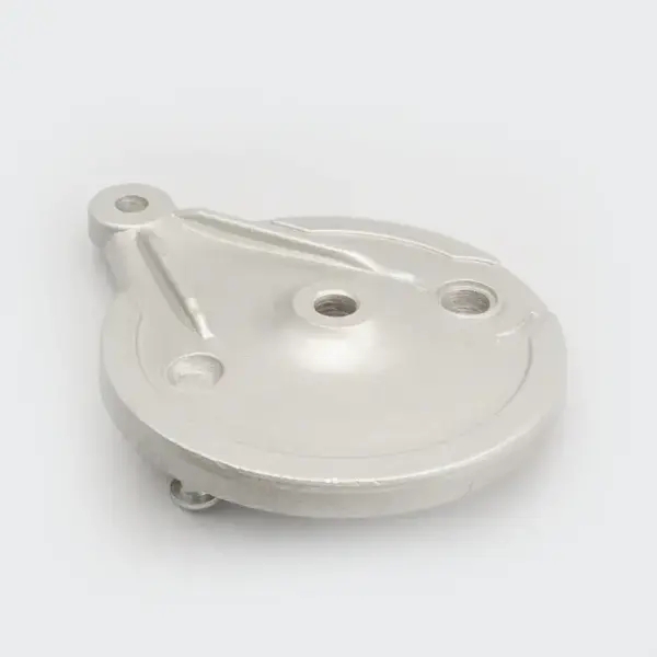 Hub Plate [r] [slvr] Star/star Dlx/star City/victor/centra/star Sport - Image 2