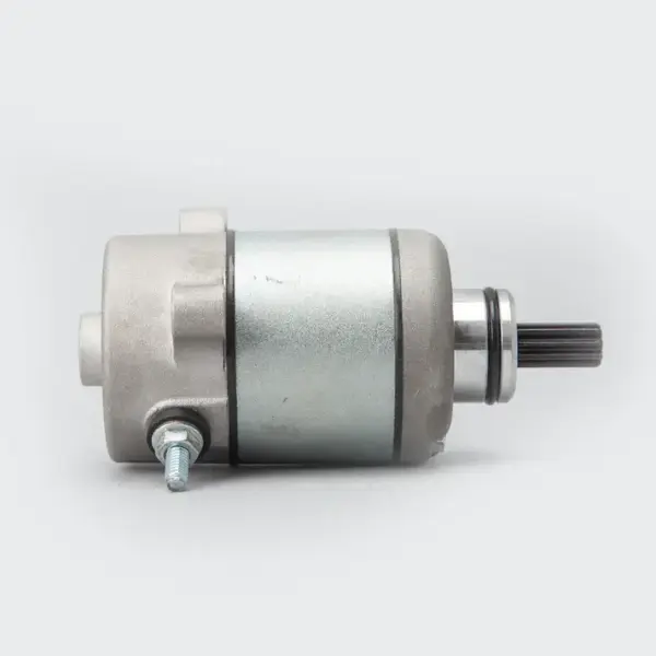 Starter Motor Assy Access - Image 2