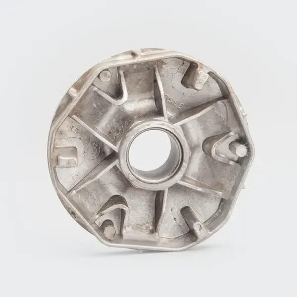 Variator Body Access