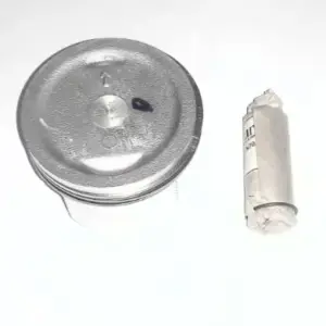 Piston Assembly P7020050 Tvs Xl 100 100 (oem),