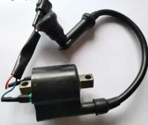 Ignition Coil P7060030 Tvs Xl 100 100 (oem),