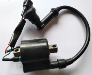 Ignition Coil P7060030 Tvs Xl 100 100 (oem),