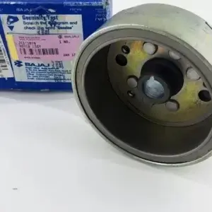 Rotor Assembly For Bajaj Avenger 160 Street Bs4