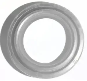 Oil Seal R1100370 Tvs Wego 110 (oem),