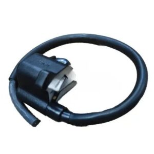 Ignition/power Coil-hero Pleasure (30510aal00099s)