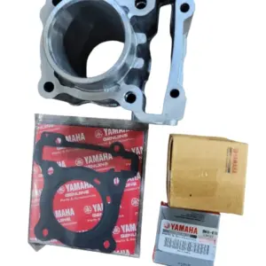 Cyliner Block Kit / Borkit  Compatible For Yamaha R15 V3 Original