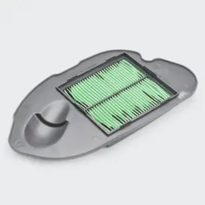 Air Filter [paper] Access N/m