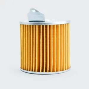 Air Filter [paper] Activa O/m/dio O/m