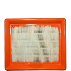 Bajaj Discover St Air Filter Assembly