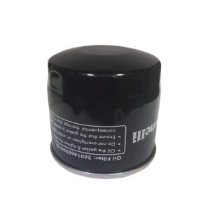 Benelli Tnt300/ Tnt302/ Tnt600i/ Gt600 Compatible Oil Filter