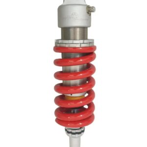 Benelli Tnt600i/ Gt600 Rear Suspension Assembly