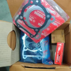 Bore Kit/ Cylinder Kit Fz V2 And V3