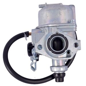 Carburetor Assy For Hero Pleasure