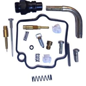 Carburetor Repairing Kit Yamaha Ray Fascino