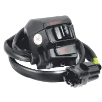 Combination Switch Right Standard Karizma R - Genuine