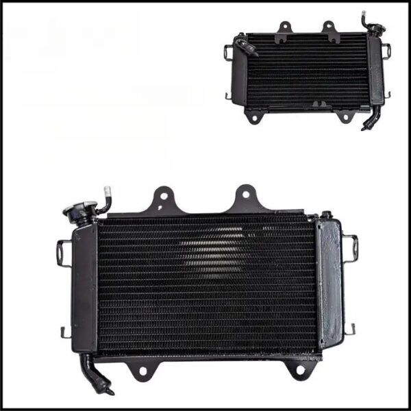 Core Radiator - Jg601204 (duke 200)