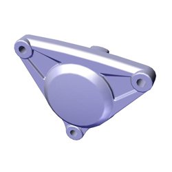 Cover Cylinder Head Left Side For Passion X PRO | Hero