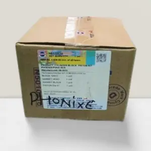 Cylinder Head Assembly Kit Tvs Phoenix (n5322130)