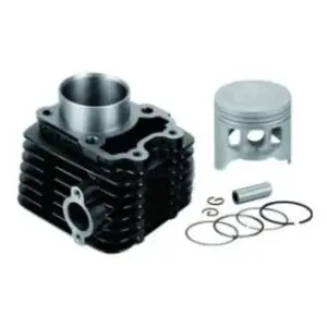 Cylinder Kit/borkit-bajaj Ct100/ Platina