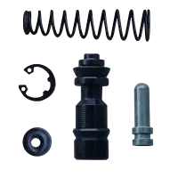 Disc Master Kit Genuine Apache Rtr 180