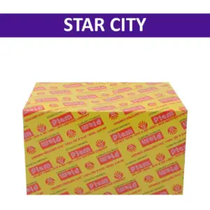 Fiem Head Light Assembly For Star City