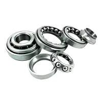 Fork Cone Set Standard Cb Shine