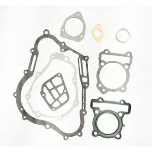 Gasket Kit For Fz