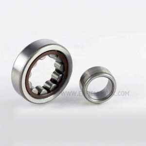 Genuine Nu305 Ecp Cylindrical Roller Bearing For Royal Enfield Classic 500 Bs3/euro3