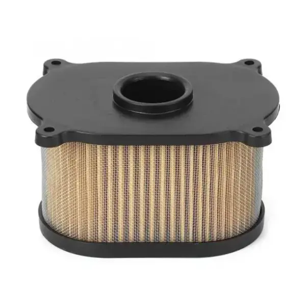 Hyosung Gt250r Air Filter - Image 2