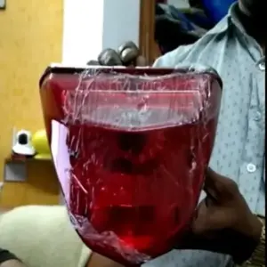Livo Tail Light Assembly