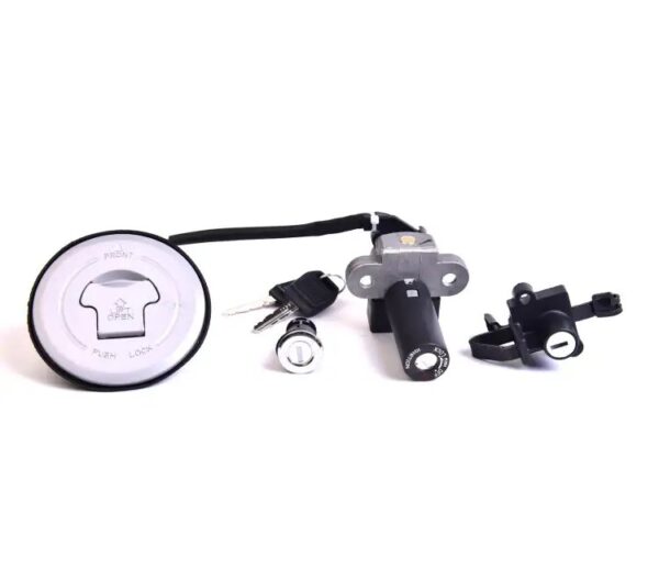 Lock Kit 2 Pin Coupler Set Of 4 For Hero Glamour New Model | Spark Minda