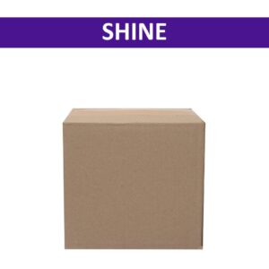 Lumax Head Light Assembly For Shine