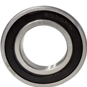 Motorcycle And Scooter Bearing Assembly 6005-2rs