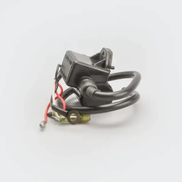 Cdi W/e.t.coil [eco] Champ 60/powerport - Image 2