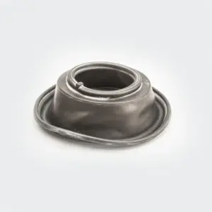 Carb.diaphragm Fz