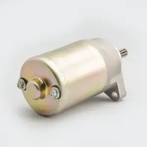 Starter Motor Assy Ray