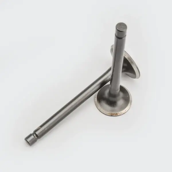 Valve Set 4s/ct100/platina/boxer/caliber - Image 2