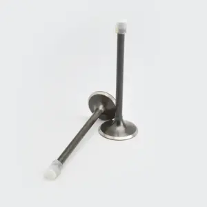Valve Set Cbz/karizma