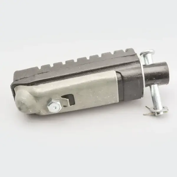 Footrest Assy [f&r] Rh Cbz-xtreme