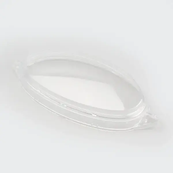 Speedometer Glass Pleasure