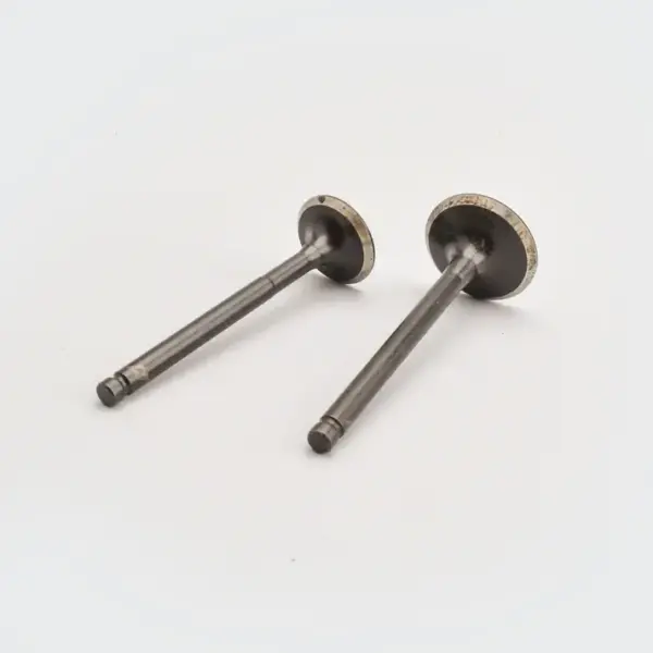 Valve Set Victor/star/star Dlx/star City - Image 2