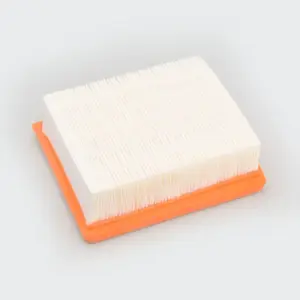 Air Filter [paper] Discover 125st