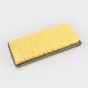 Air Filter [paper] Pulsar 200ns