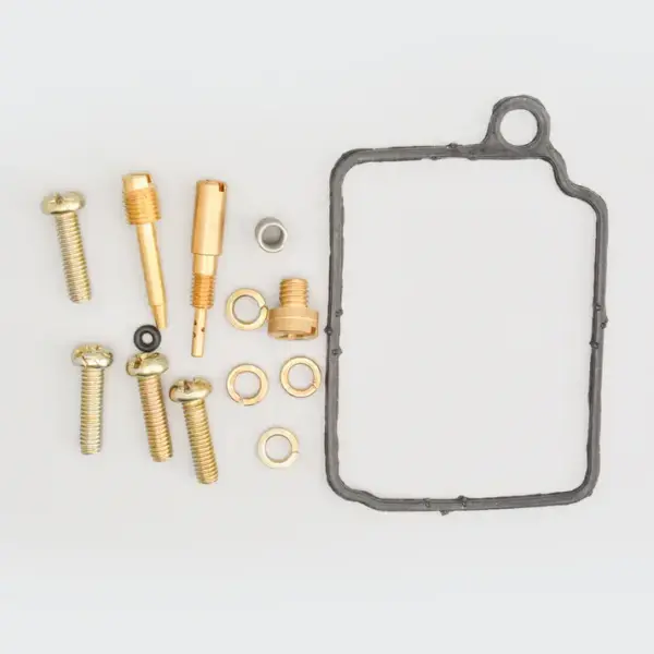 Repair Kit (minor) Carb. Pep - Image 2