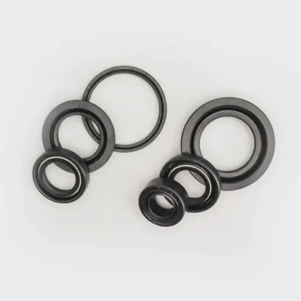 Oil Seal Kit [s.o.6] Pep - Image 2