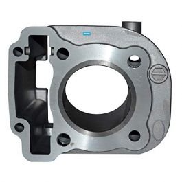 Cylinder Block Piston Kit Compatible For Suzuki Access Latest Model Genuine
