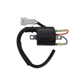Ignition Coil Compatible For Tvs Star City Plus