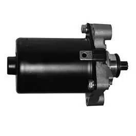 Self Starter Motor Assembly Compatible For Activa 2g / 3g / 4g (100cc&110cc)