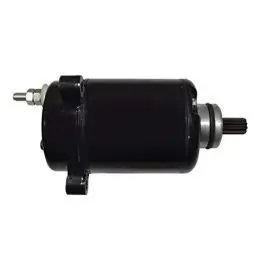 Self Starter Motor Assembly For Motorcycle & Scooters (ktm 200)
