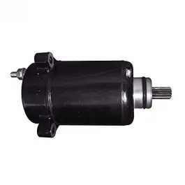 Self Starter Motor Assembly Compatible For Bajaj Pulsar Rs